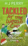 Tackled at the World Cup Two Gay Footballers Erotica synopsis, comments