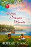 Where Promises Remain synopsis, comments