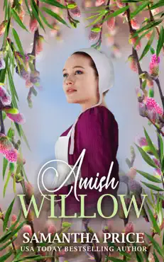 amish willow book cover image
