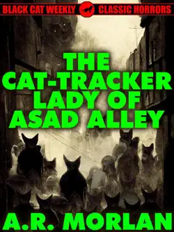 the cat-tracker lady of asad alley book cover image