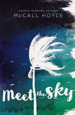 meet the sky book cover image