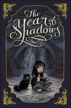 the year of shadows book cover image
