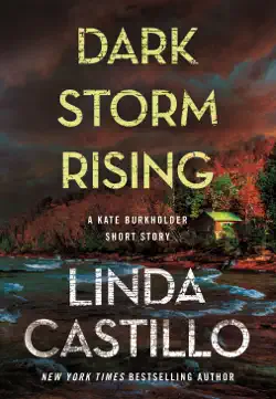 dark storm rising book cover image