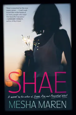 shae book cover image