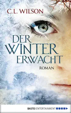 der winter erwacht book cover image