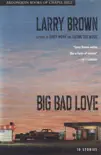 Big Bad Love synopsis, comments