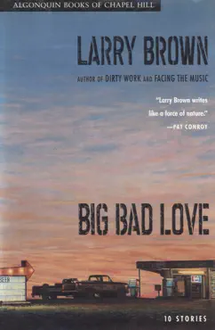 big bad love book cover image