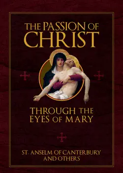 the passion of christ through the eyes of mary book cover image