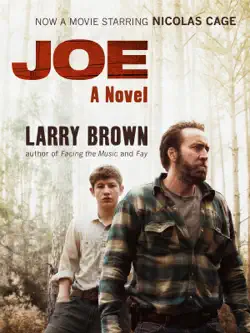 joe book cover image