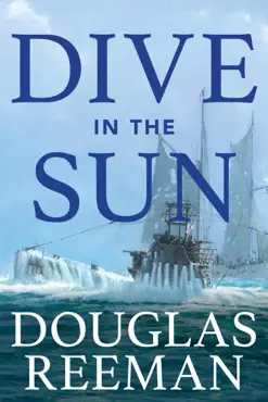 dive in the sun book cover image