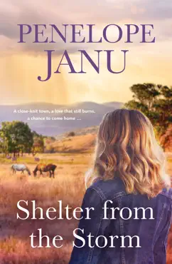 shelter from the storm book cover image
