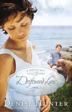 driftwood lane book cover image