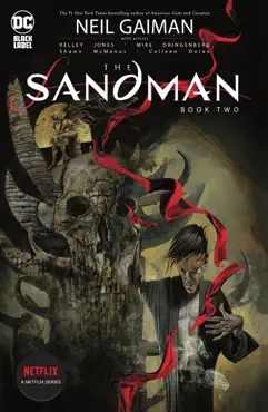 the sandman book two book cover image