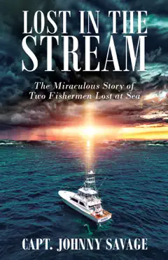 lost in the stream book cover image