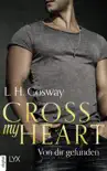 Cross my Heart - Von dir gefunden sinopsis y comentarios