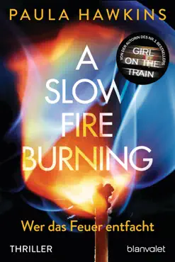 a slow fire burning book cover image