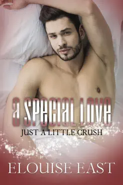 a special love book cover image