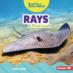 rays book cover image