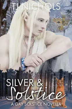 silver and solstice book cover image