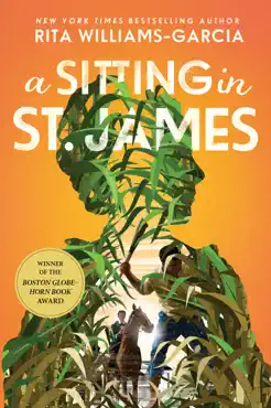 a sitting in st. james book cover image