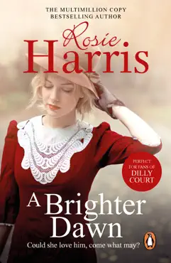 a brighter dawn book cover image