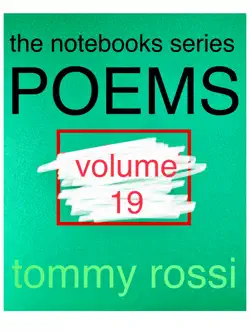 the notebooks series poems vol. 19 book cover image