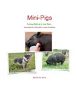 Mini Pigs synopsis, comments