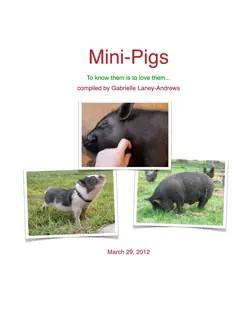 mini pigs book cover image
