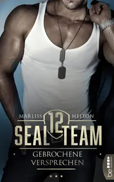 seal team 12 - gebrochene versprechen book cover image