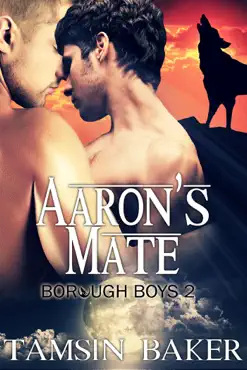 aaron's mate - m/m paranormal romance book cover image
