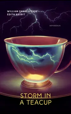 storm in a teacup book cover image