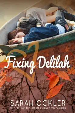fixing delilah book cover image