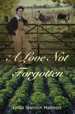 a love not forgotten book cover image