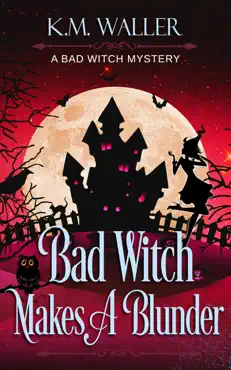bad witch makes a blunder book cover image