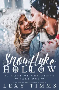 snowflake hollow - part 1 book cover image