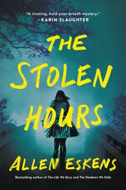 the stolen hours book cover image