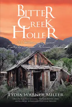 bitter creek holler book cover image