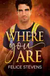 Where You Are synopsis, comments