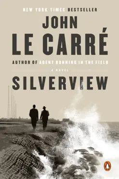 silverview book cover image