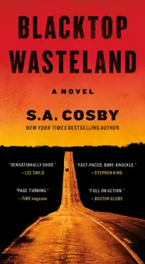 blacktop wasteland book cover image