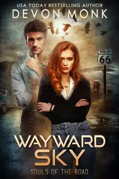 wayward sky book cover image