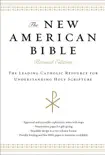 The New American Bible synopsis, comments