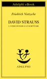 David Strauss synopsis, comments