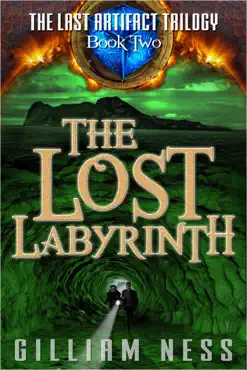 the lost labyrinth book cover image