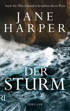 der sturm book cover image