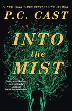 into the mist book cover image
