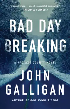 bad day breaking book cover image