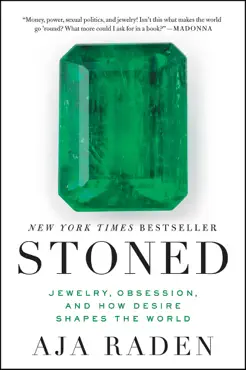 stoned book cover image