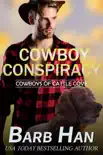 Cowboy Conspiracy synopsis, comments