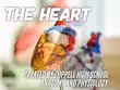 The Heart synopsis, comments